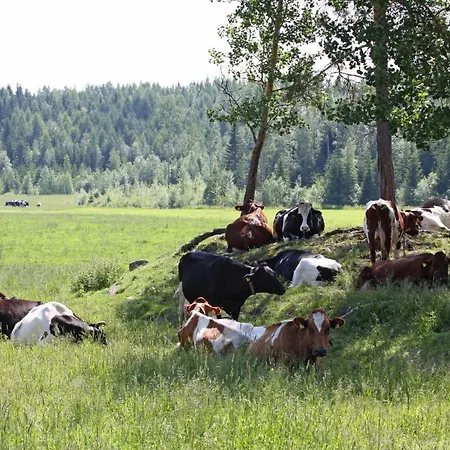 Maekelaen Lomatuvat Korkeakoski (Western Finland)