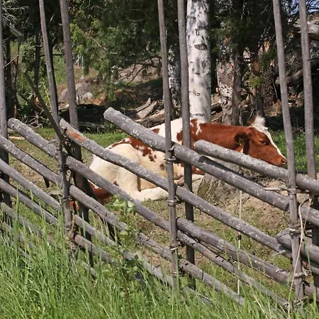 Gospodarstwo agroturystyczne Maekelaen Lomatuvat *